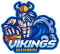 Basketbalvereniging Vikings Hardenberg