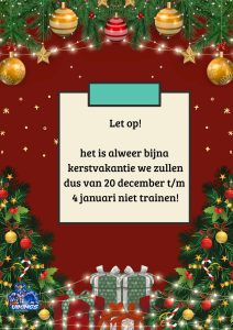 Kerstvakantie Vikings